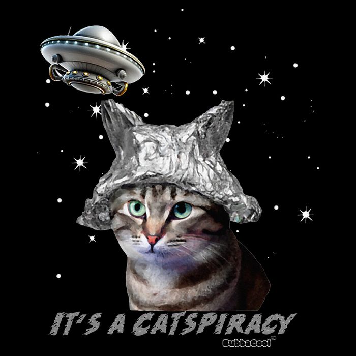 Funny Tinfoil Hat Cat Lover Doggie Tank