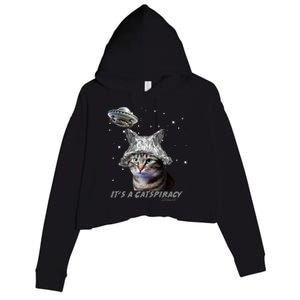 Funny Tinfoil Hat Cat Lover Crop Fleece Hoodie