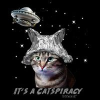 Funny Tinfoil Hat Cat Lover Cooling Performance Long Sleeve Crew