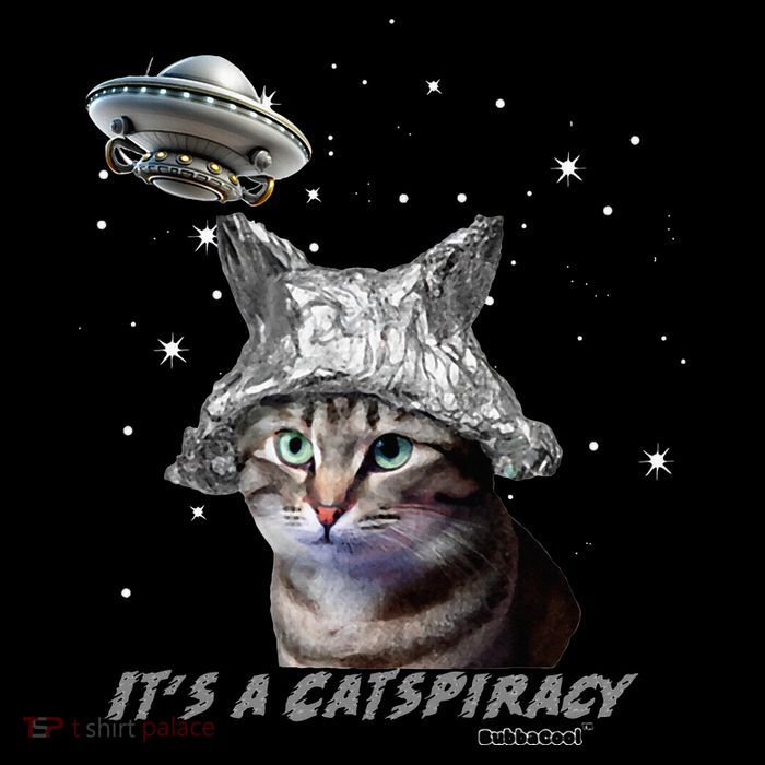 Funny Tinfoil Hat Cat Lover Youth Performance Sprint T-Shirt