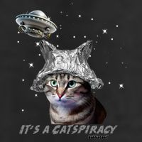Funny Tinfoil Hat Cat Lover Golf Towel