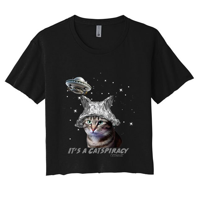Funny Tinfoil Hat Cat Lover Crop Top
