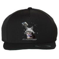 Funny Tinfoil Hat Cat Lover Wool Snapback Cap