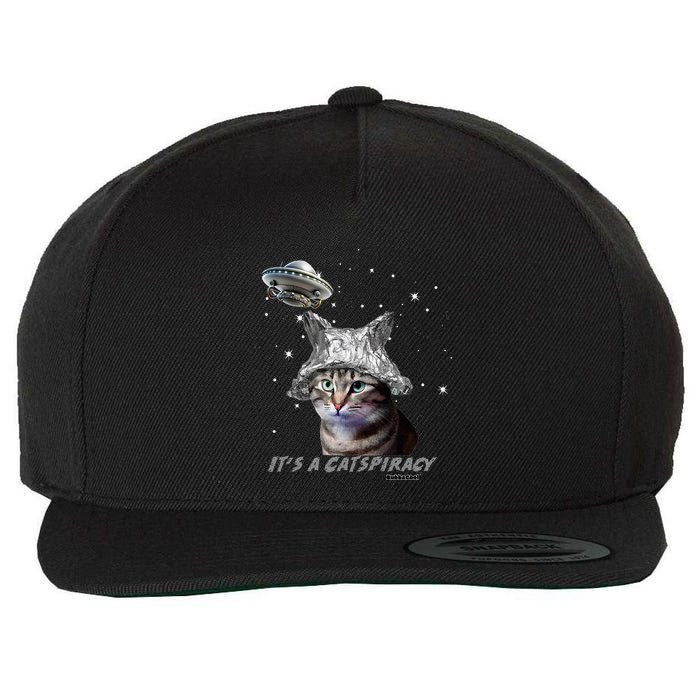 Funny Tinfoil Hat Cat Lover Wool Snapback Cap