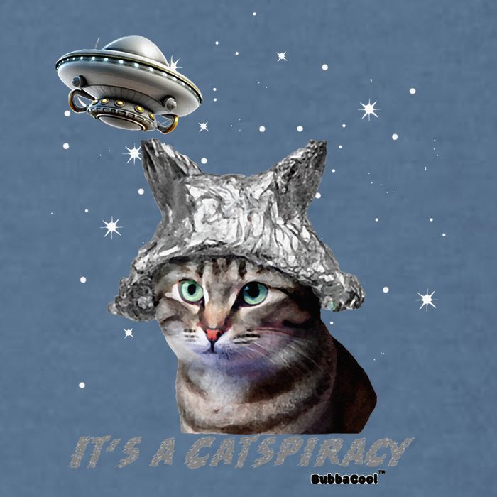 Funny Tinfoil Hat Cat Lover Garment-Dyed Sweatshirt