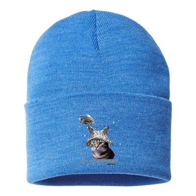 Funny Tinfoil Hat Cat Lover Sustainable Knit Beanie