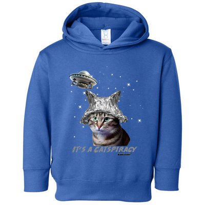 Funny Tinfoil Hat Cat Lover Toddler Hoodie