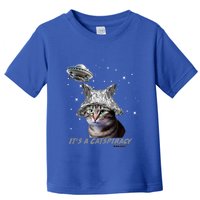 Funny Tinfoil Hat Cat Lover Toddler T-Shirt