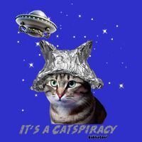 Funny Tinfoil Hat Cat Lover Short Acrylic Beanie