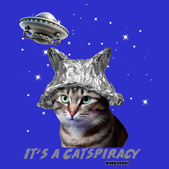 Funny Tinfoil Hat Cat Lover Short Acrylic Beanie