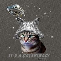 Funny Tinfoil Hat Cat Lover Cotton Canvas Backpack