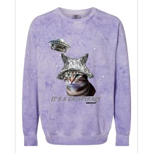 Funny Tinfoil Hat Cat Lover Colorblast Crewneck Sweatshirt