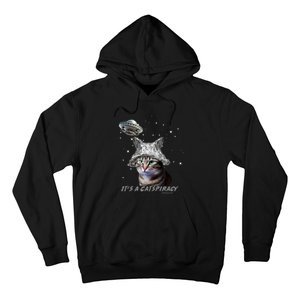 Funny Tinfoil Hat Cat Lover Hoodie