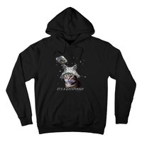 Funny Tinfoil Hat Cat Lover Hoodie