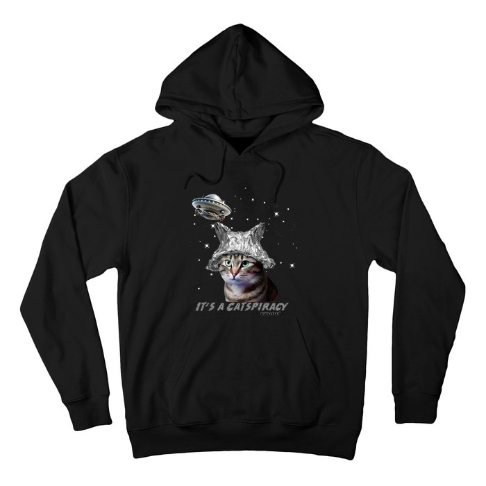 Funny Tinfoil Hat Cat Lover Hoodie