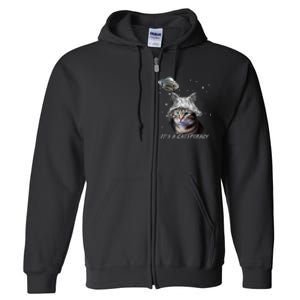 Funny Tinfoil Hat Cat Lover Full Zip Hoodie