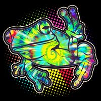 Funny Trippy Hippie Psychedelic Peace Frog Flatbill Hat