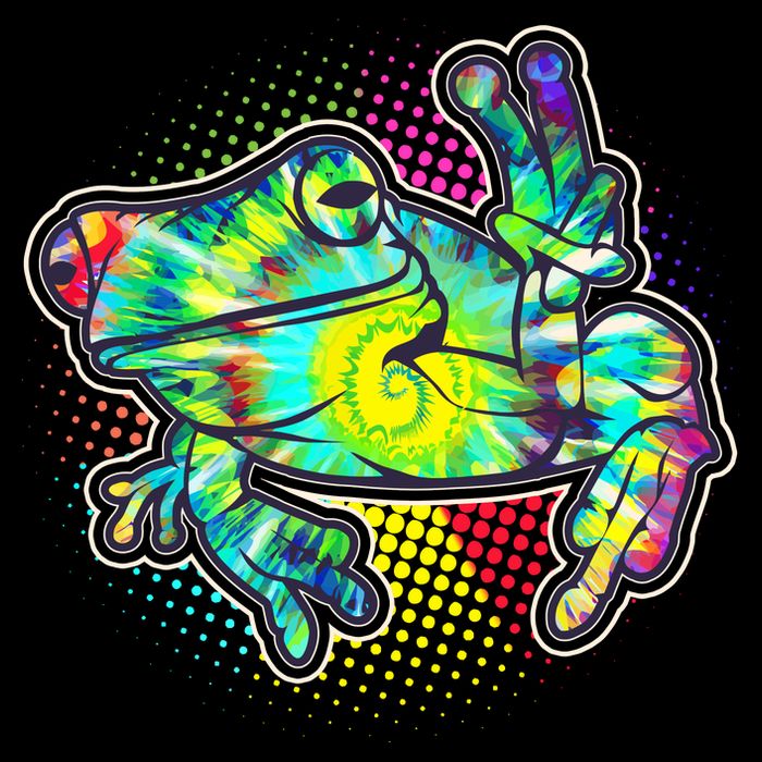 Funny Trippy Hippie Psychedelic Peace Frog Flatbill Hat
