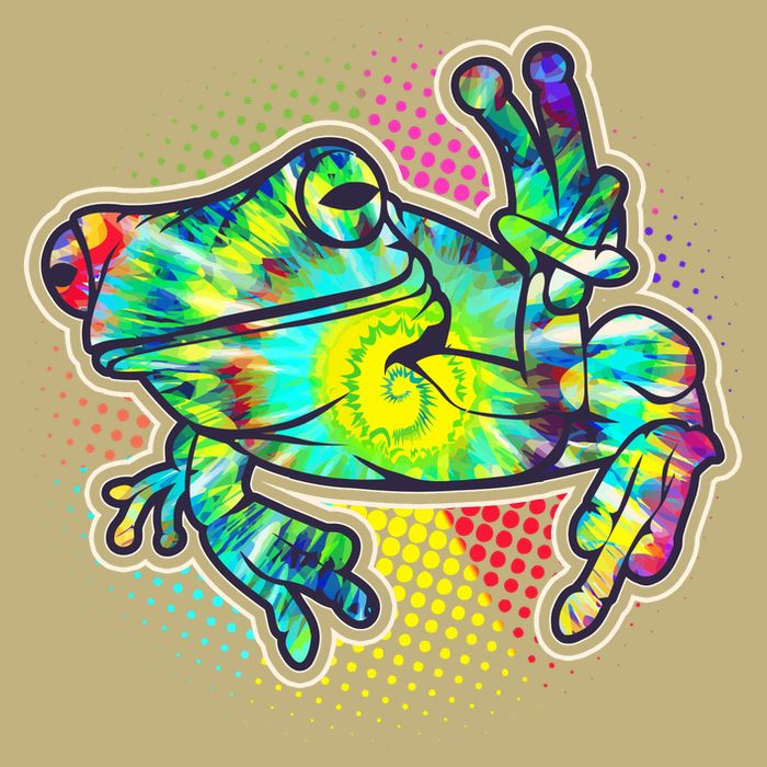 Funny Trippy Hippie Psychedelic Peace Frog T-Shirt