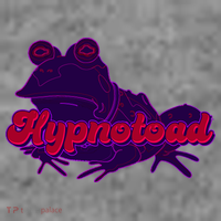 Funny Trippy Hypnotoad Wool Snapback Cap