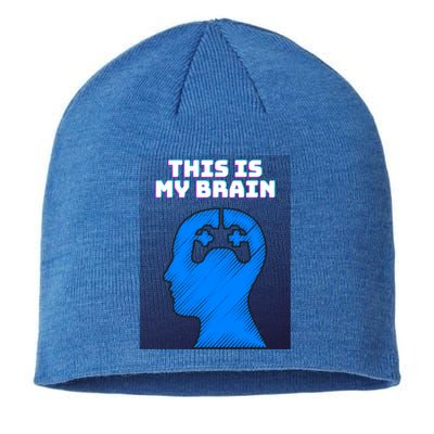 Funny This Is My Brain Design Video Game Buff Gift Sustainable Beanie