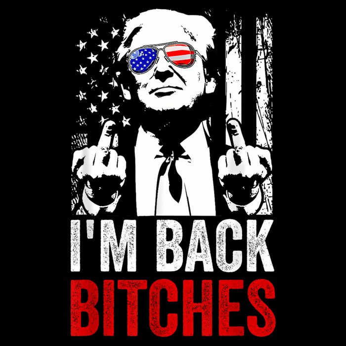 Funny Trump IM Back Bitches Take Ameircan Great Again Bucket Hat