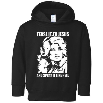 Funny Tease It To Jesus And Spray It Like Hell Western Music Toddler Hoodie