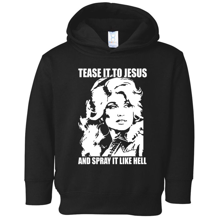 Funny Tease It To Jesus And Spray It Like Hell Western Music Toddler Hoodie