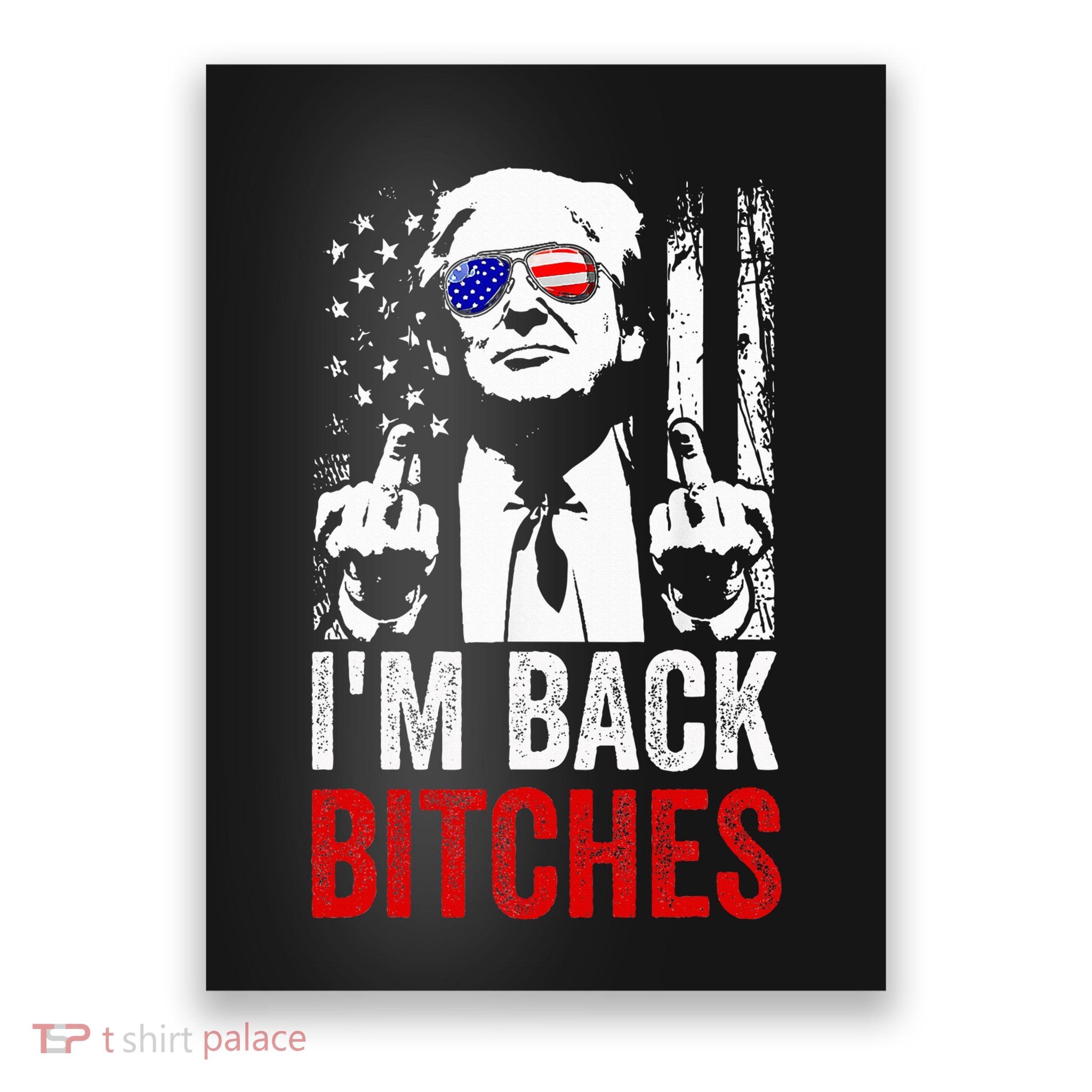 Funny Trump IM Back Bitches Take Ameircan Great Again Poster