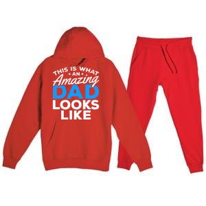 Funny This Is What An Amazing Dad Father's Day Amazing Dad Gift Premium Hooded Sweatsuit Set