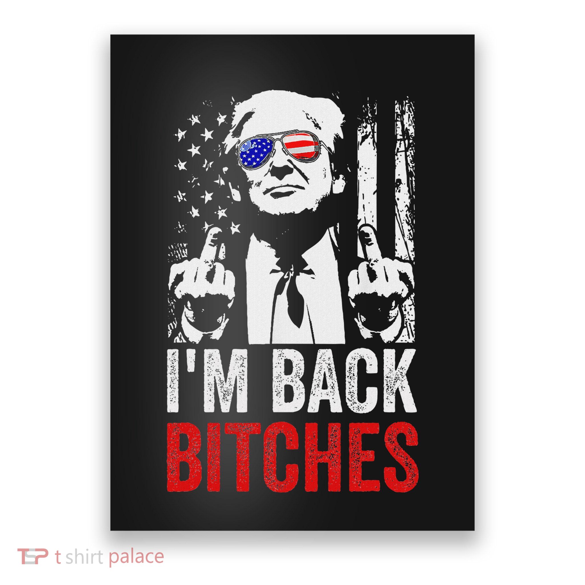 Funny Trump IM Back Bitches Take Ameircan Great Again Poster