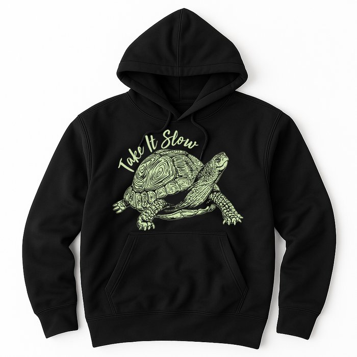 Funny Take It Slow Turtle Tortoise Hoodie
