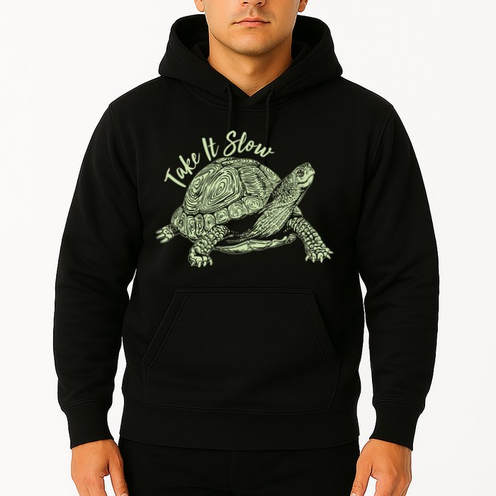 Funny Take It Slow Turtle Tortoise Hoodie