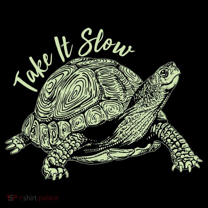 Funny Take It Slow Turtle Tortoise Sweatshirt
