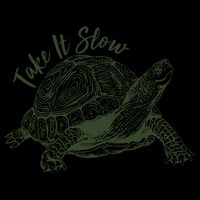 Funny Take It Slow Turtle Tortoise Mug