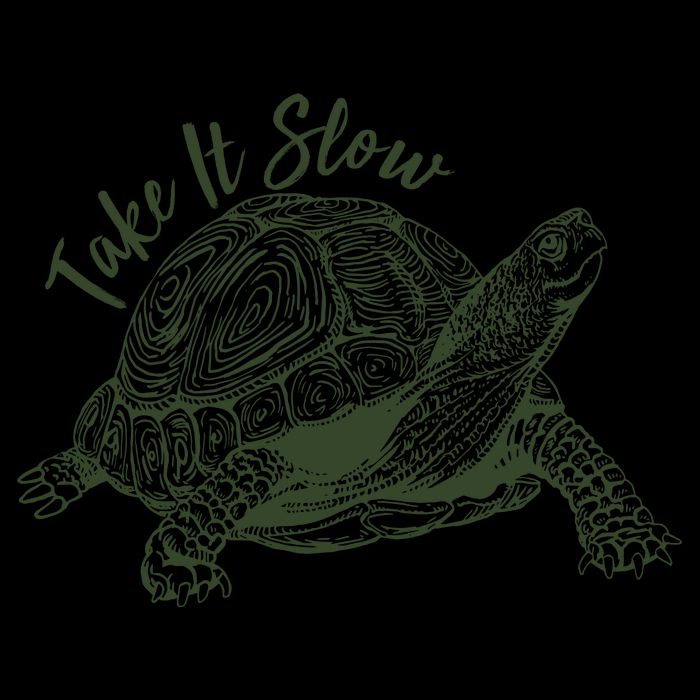 Funny Take It Slow Turtle Tortoise Mug