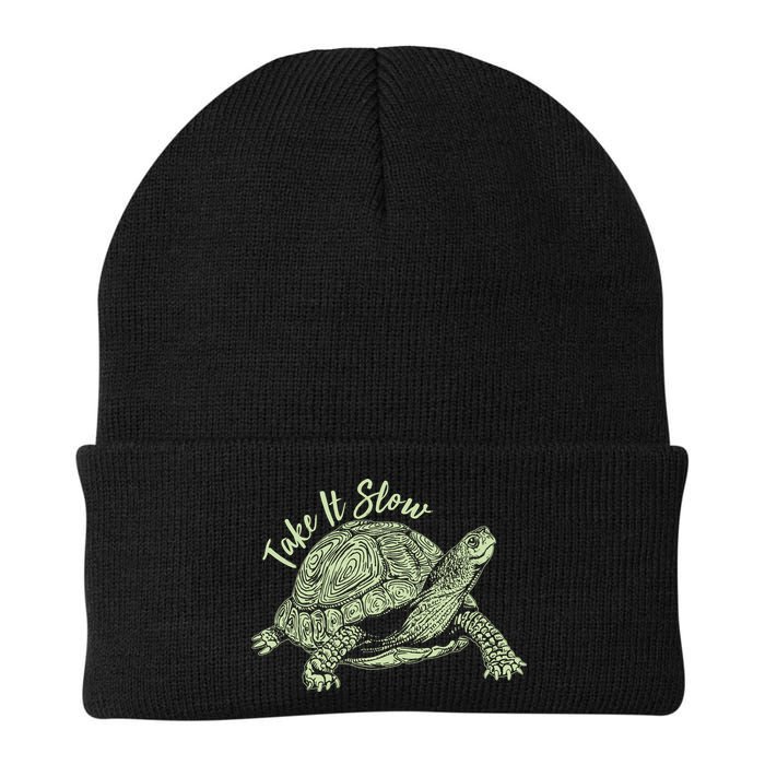 Funny Take It Slow Turtle Tortoise Beanie