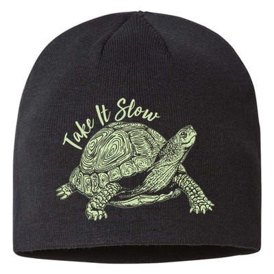 Funny Take It Slow Turtle Tortoise Sustainable Beanie