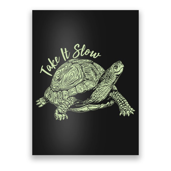 Funny Take It Slow Turtle Tortoise Poster