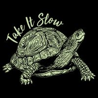 Funny Take It Slow Turtle Tortoise Poster