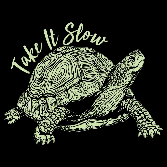 Funny Take It Slow Turtle Tortoise Poster