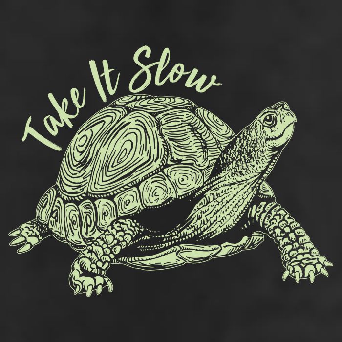 Funny Take It Slow Turtle Tortoise Trucker Hat