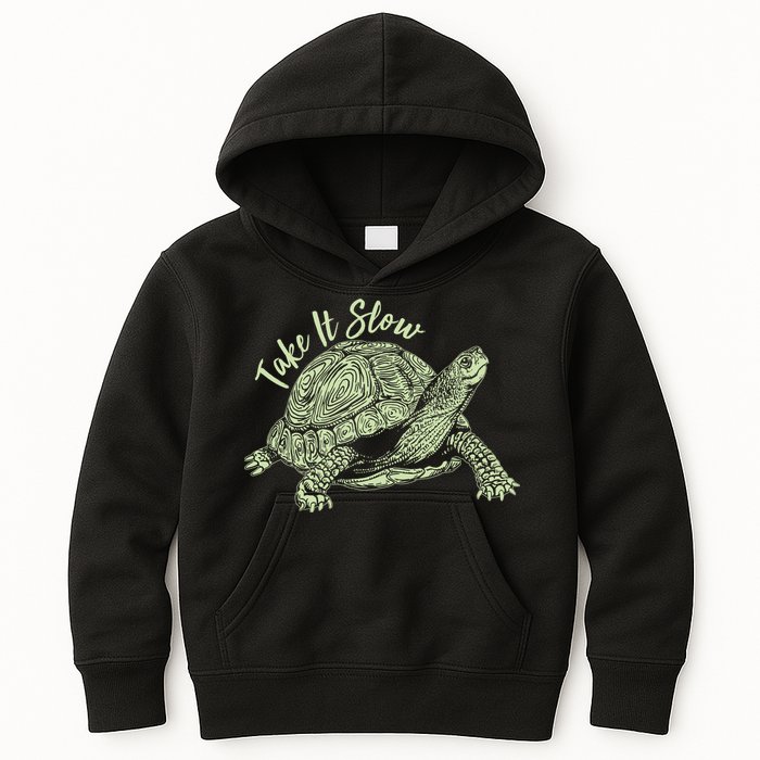 Funny Take It Slow Turtle Tortoise Kids Hoodie