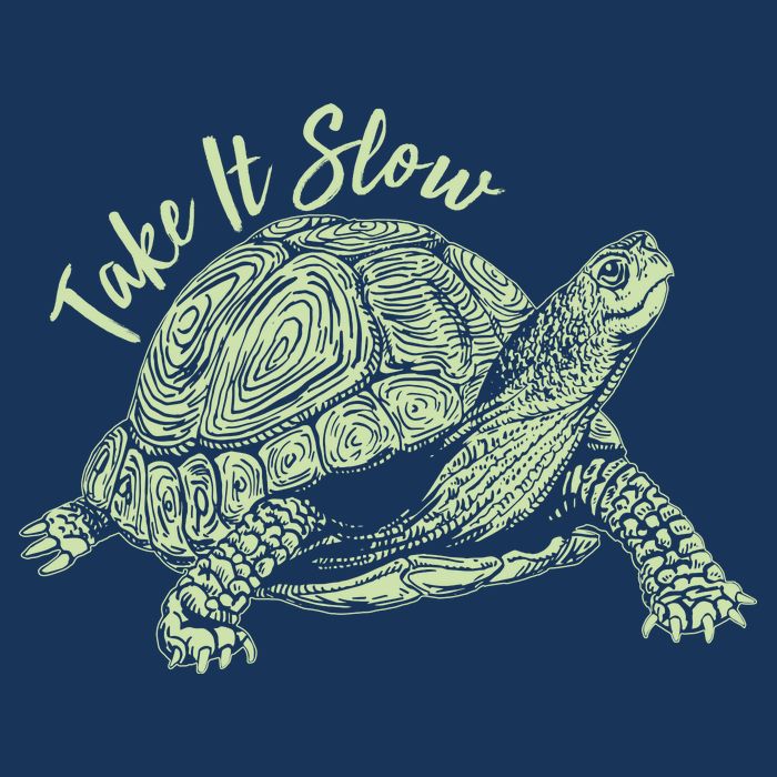 Funny Take It Slow Turtle Tortoise Infant Baby Jersey Bodysuit