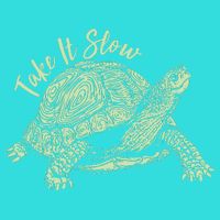 Funny Take It Slow Turtle Tortoise Tie-Dye T-Shirt