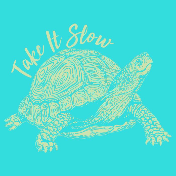 Funny Take It Slow Turtle Tortoise Tie-Dye T-Shirt