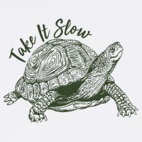 Funny Take It Slow Turtle Tortoise Garment-Dyed Sweatshirt