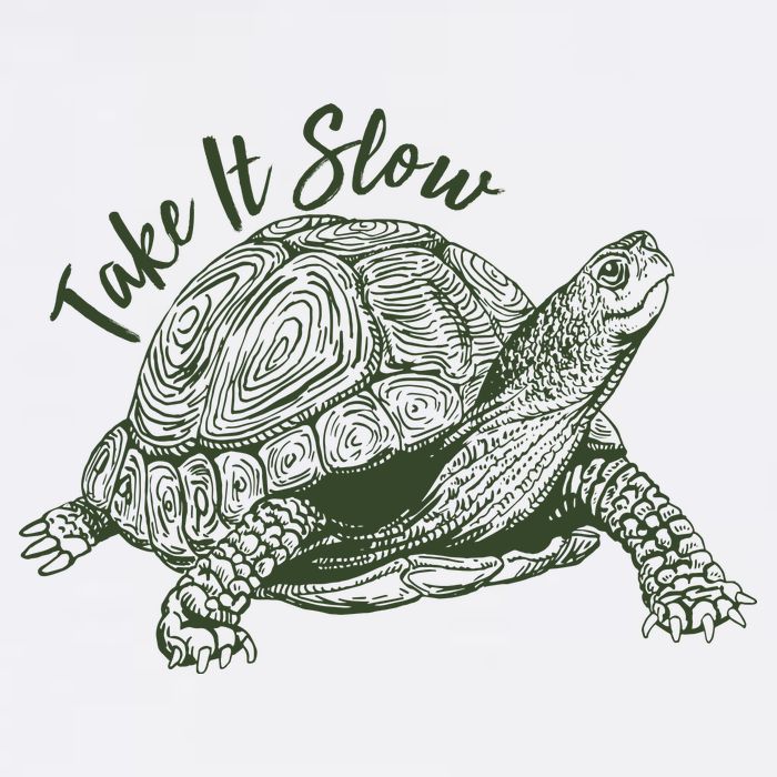 Funny Take It Slow Turtle Tortoise Garment-Dyed Sweatshirt