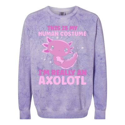 Funny This Is My Human Costume IM Really An Axolotl Lover Colorblast Crewneck Sweatshirt