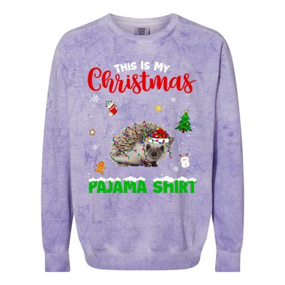 Funny This Is My Christmas Pajama Cool Gift Hedgehog Red Plaid Gift Colorblast Crewneck Sweatshirt